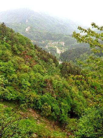 马鬃岭自然保护区图片