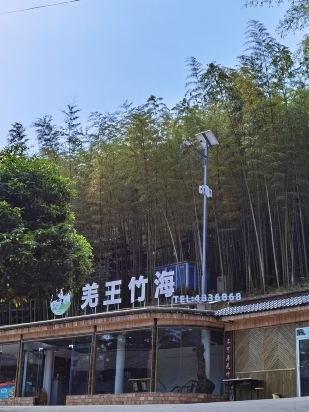 北川羌王竹海门票图片