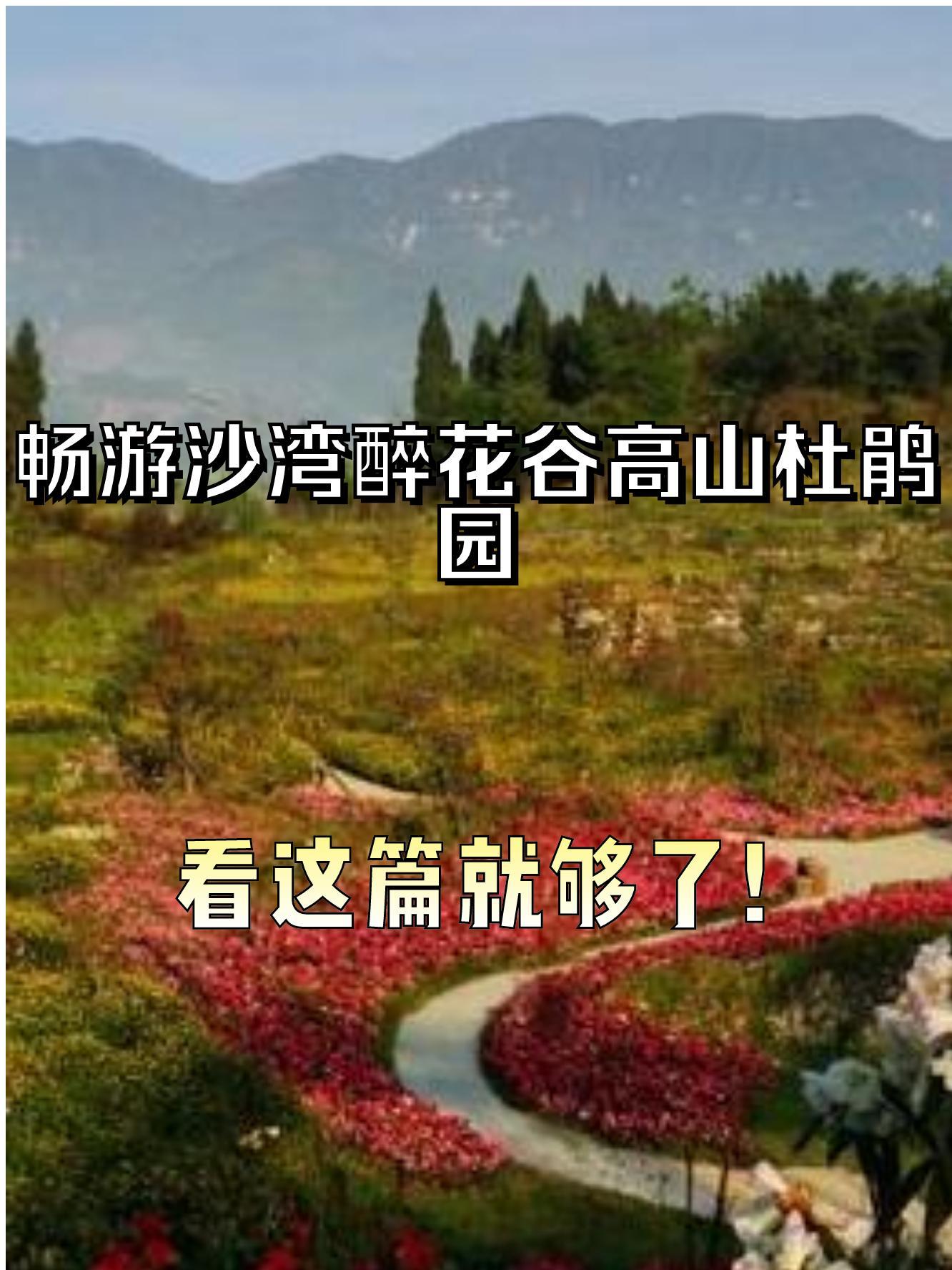 乐山沙湾醉花谷门票图片