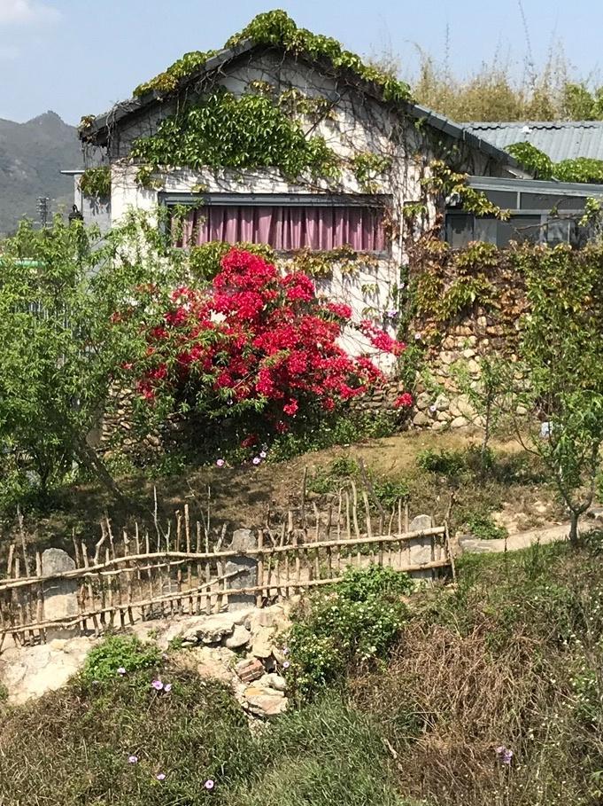 海丰桃花源风景区图片