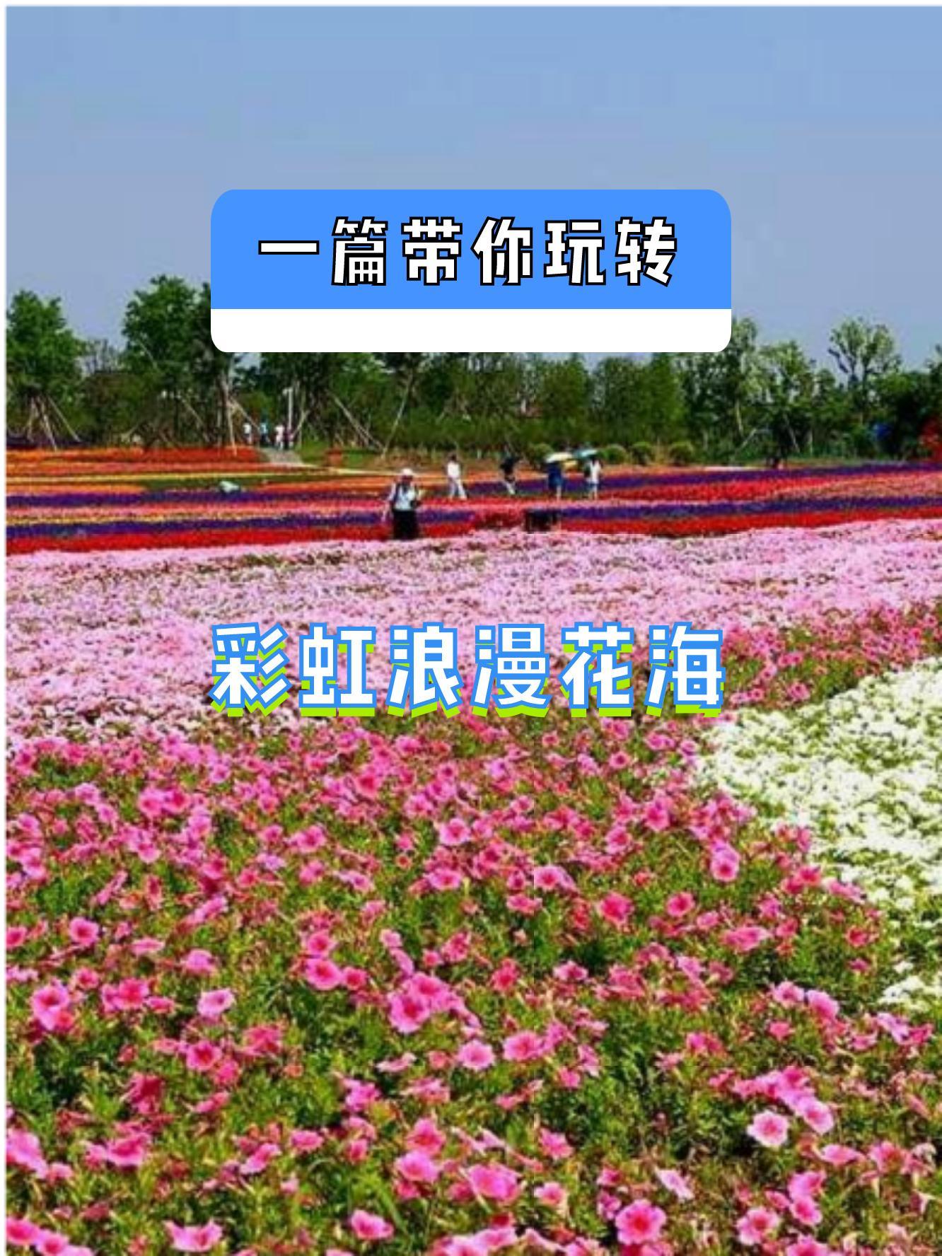 沂水花彩小镇门票图片