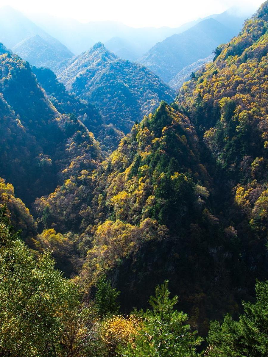 大墩峡风景区风景图片