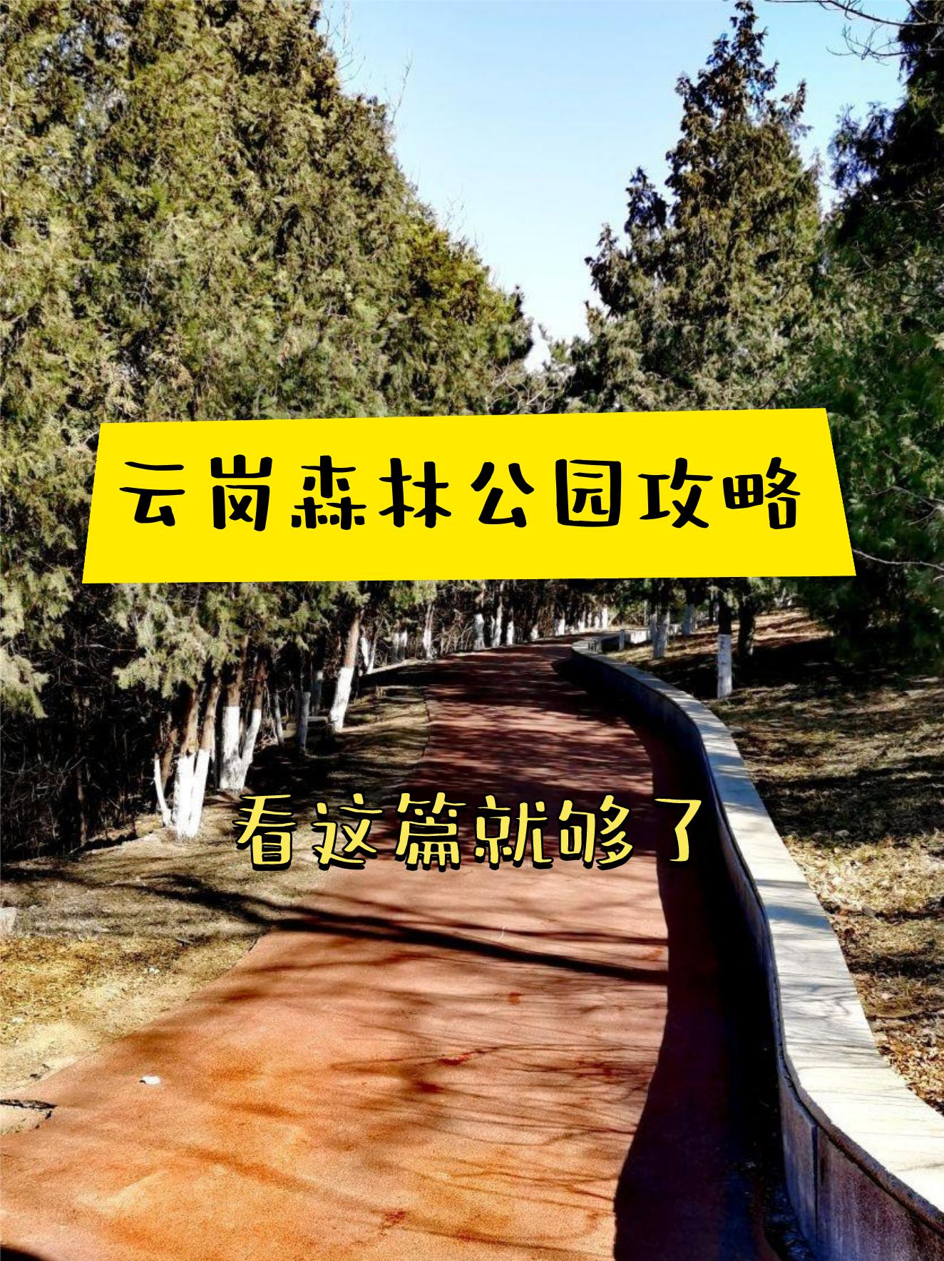 云岗森林公园图片