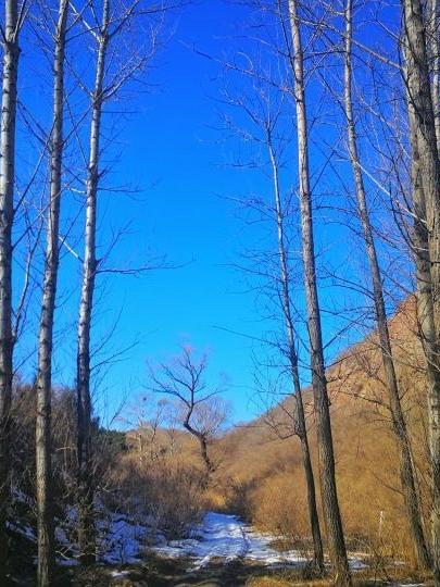 毛岭沟风景区图片