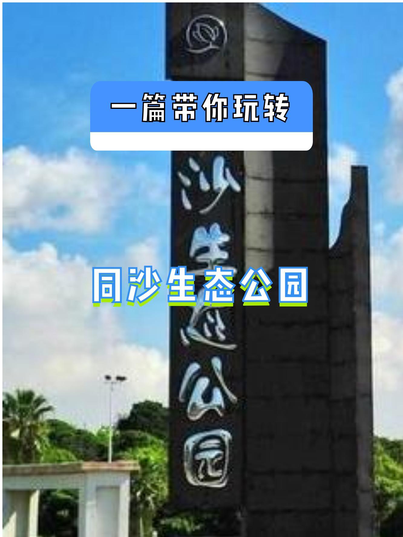 东莞市同沙生态公园图片