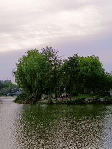 双流空港公园图片