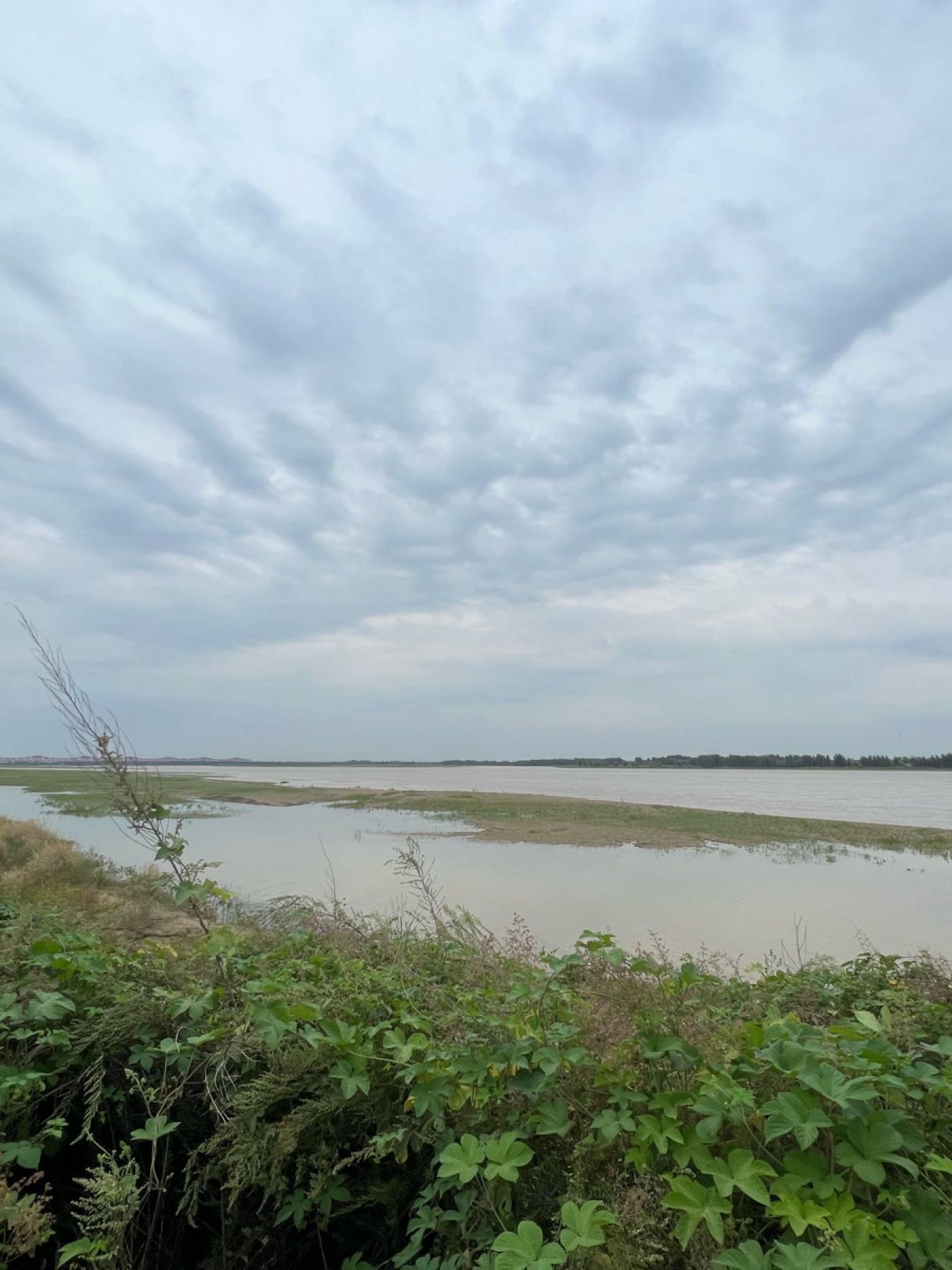 惠济区黄河滩地公园图片