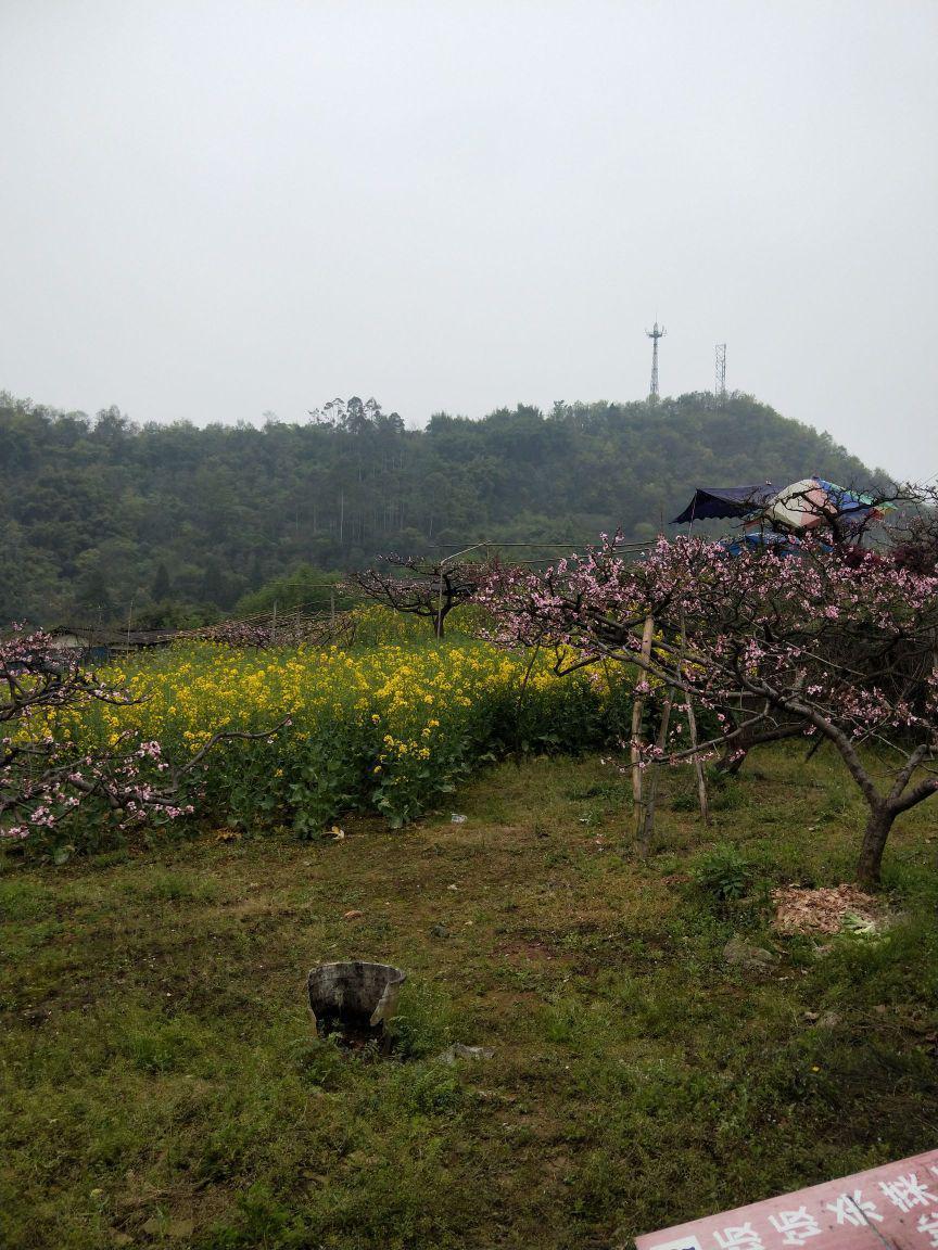 房山桃花沟风景区图片