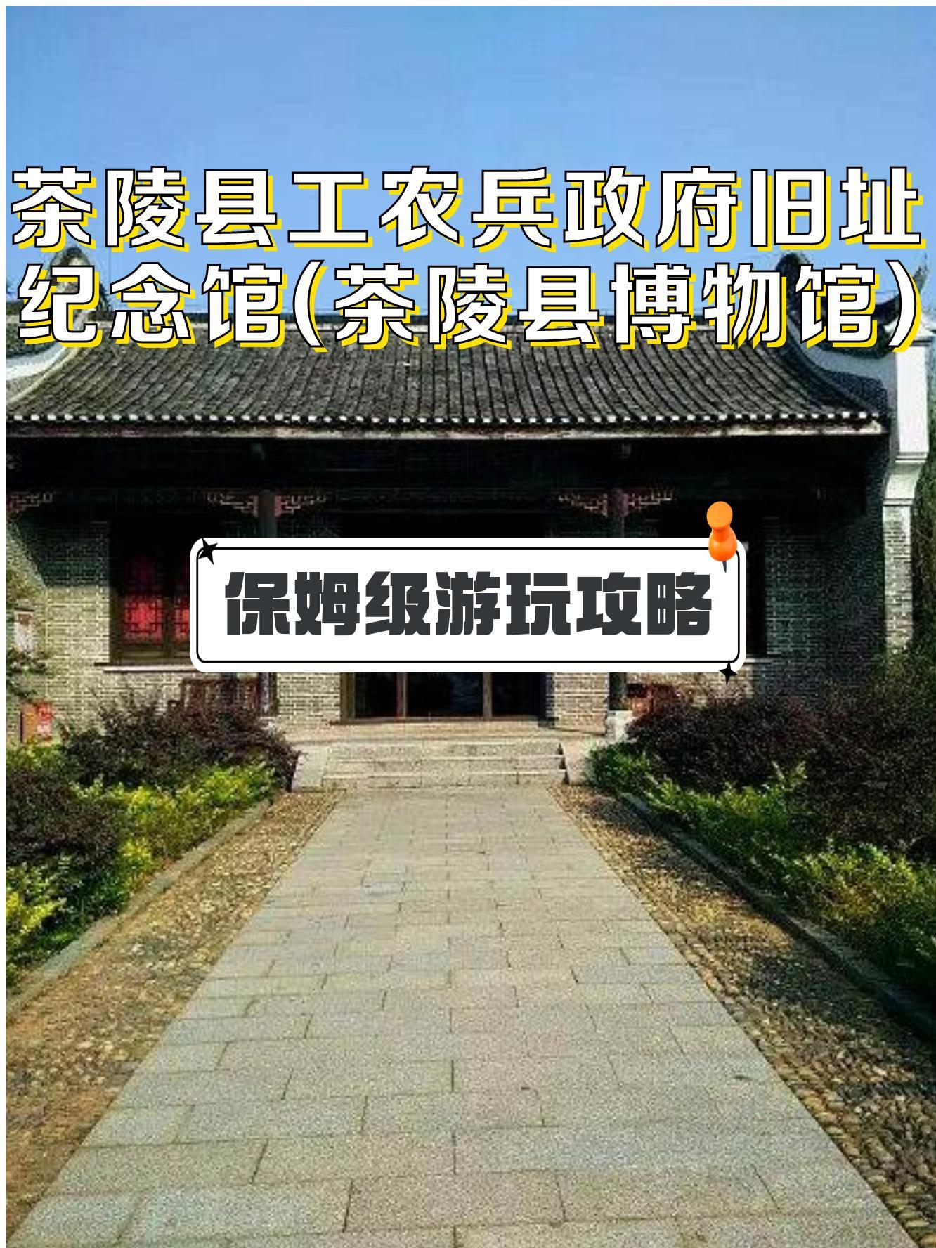 茶陵工农兵政府图片