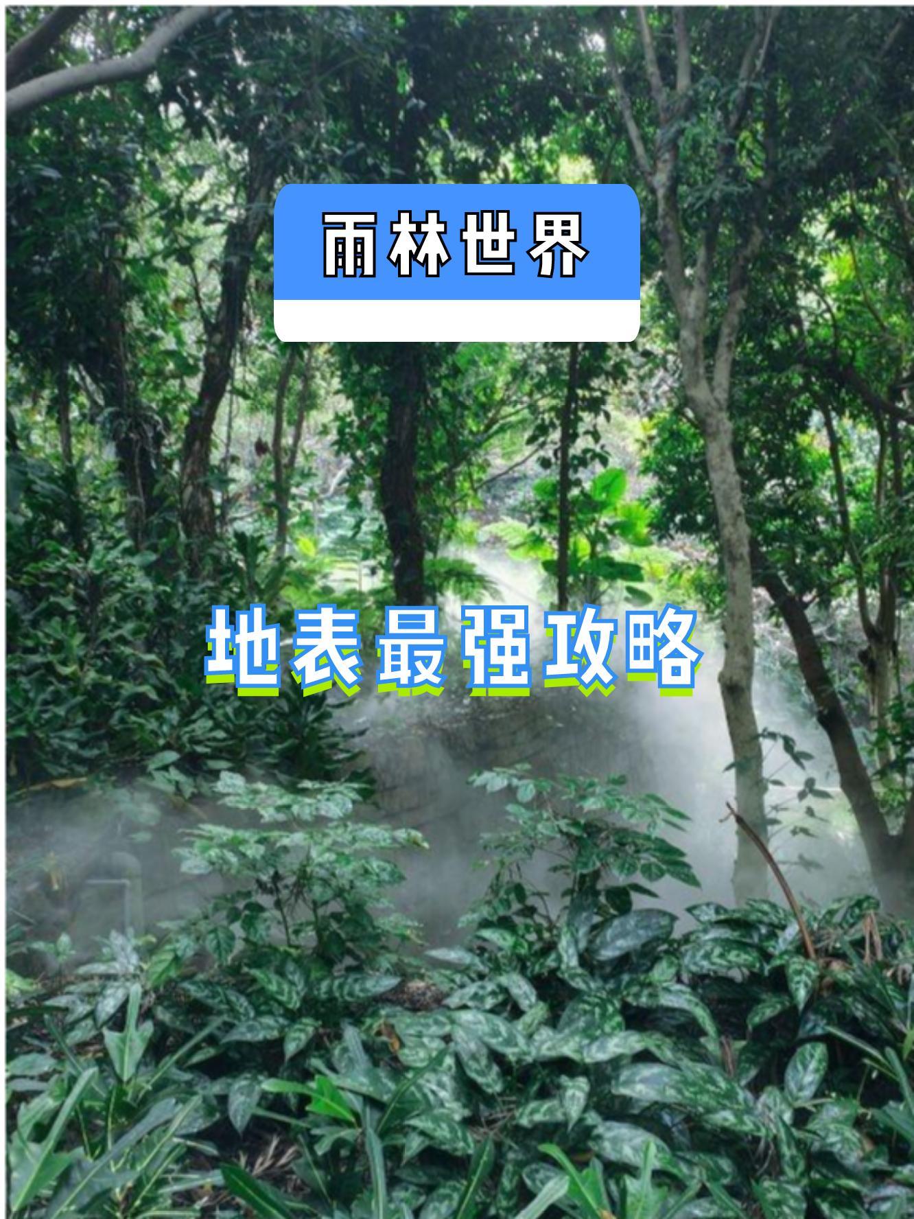 厦门雨林世界图片