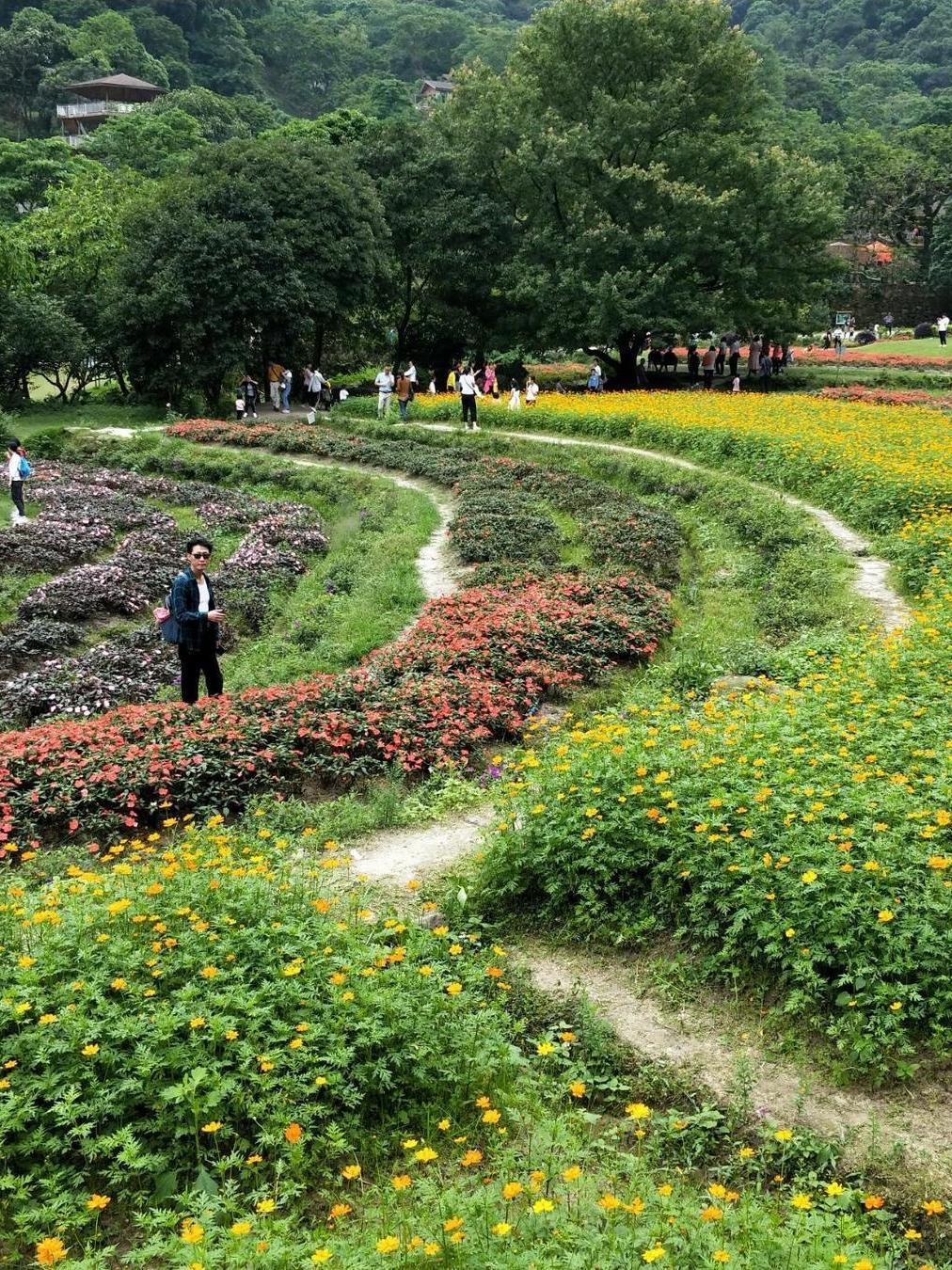 广州二龙山花园,一个隐藏在城市中的自然秘境,等待你的探索与发现