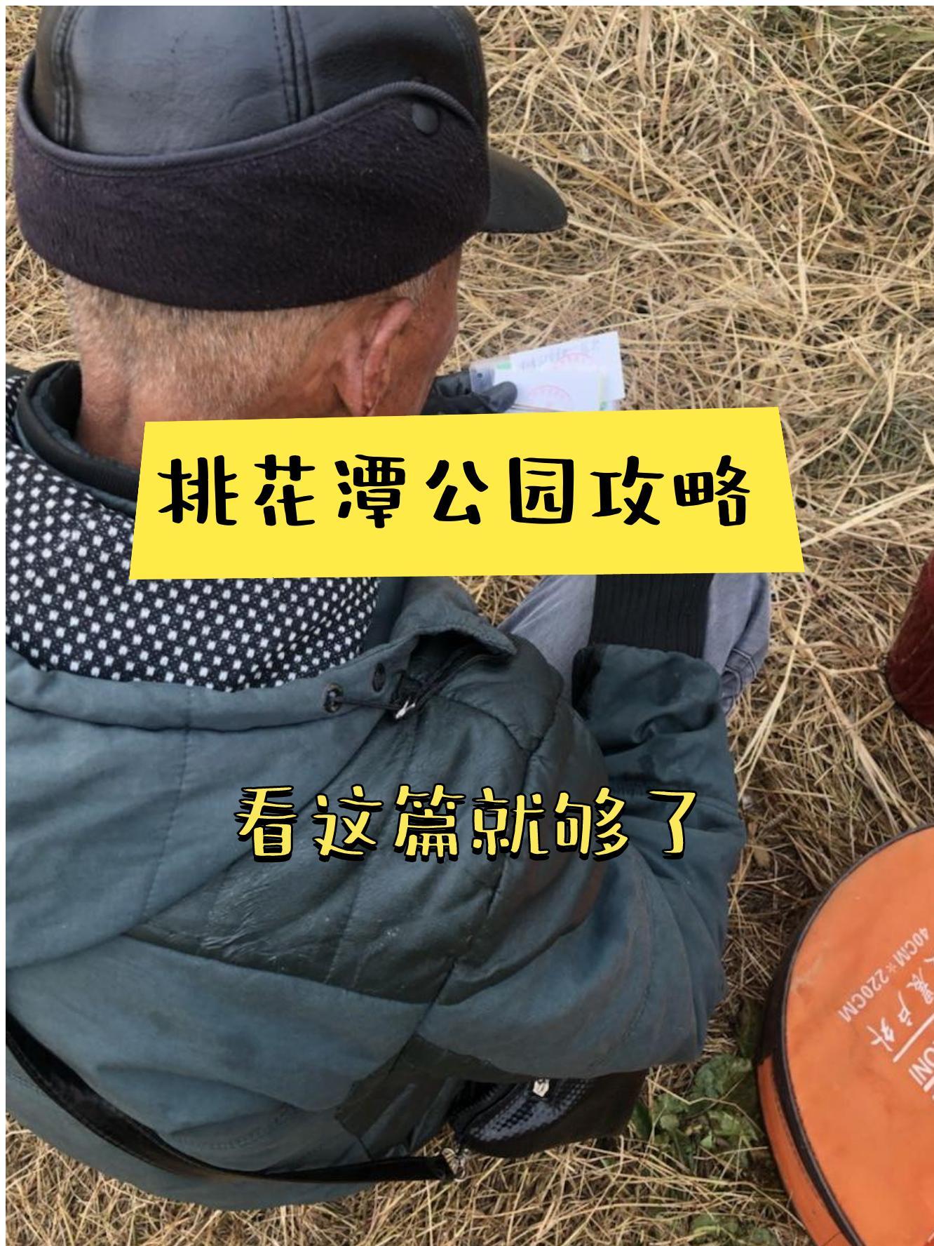 肥西桃花潭公园改造图片