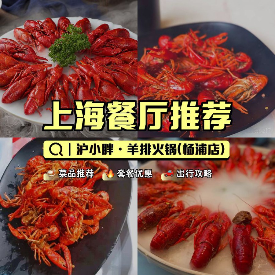 餐厅,安利给大家,绝对值得你一试～ 店名: 沪小胖·羊排火锅(杨浦店)