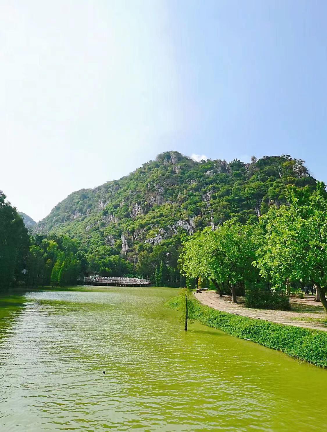 肇庆仙女湖景区介绍图片