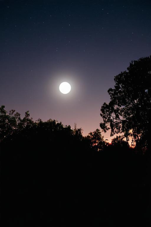 黑夜中的月亮图片