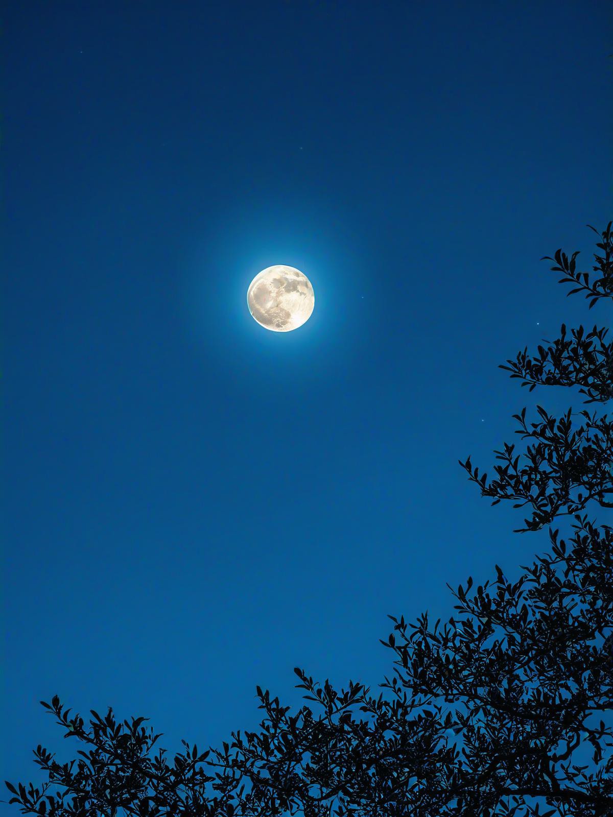 夜晚半月图片图片