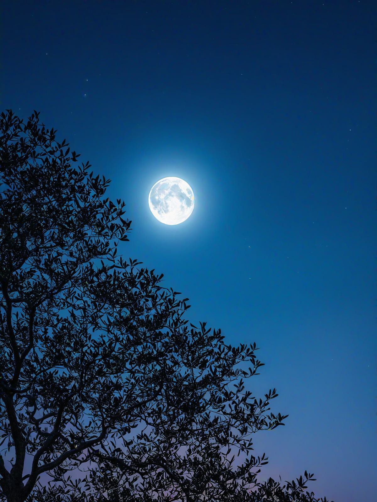 赏月必去地点几大推荐 清远的夜空璀璨