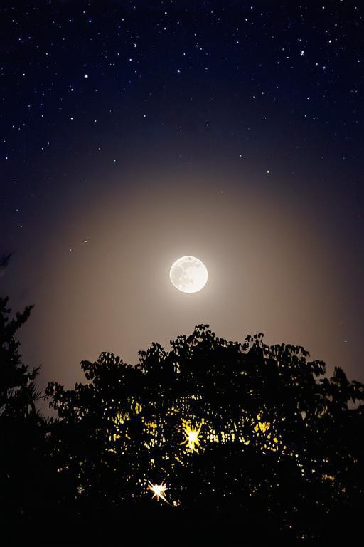 月圆之夜背景图图片