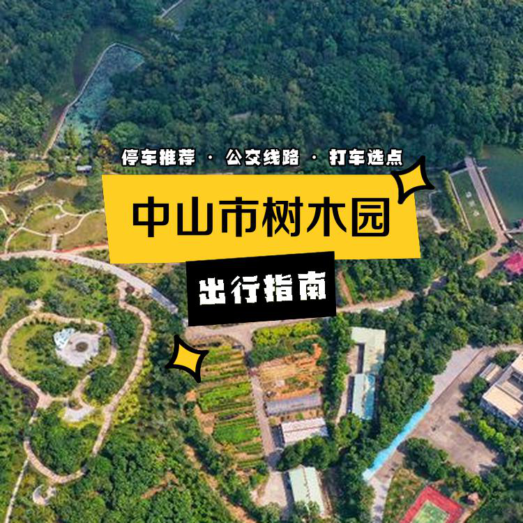 如果你是自驾前往,可以把车停在这几个地方: 1 中山市树木园