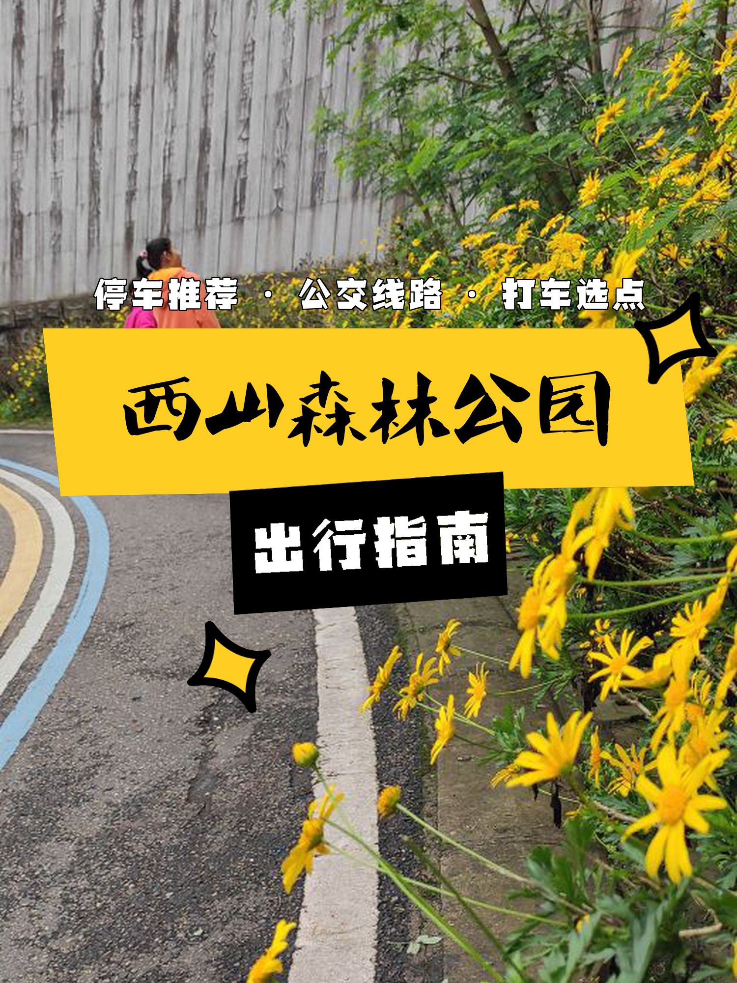 西山森林公园坐几路车图片