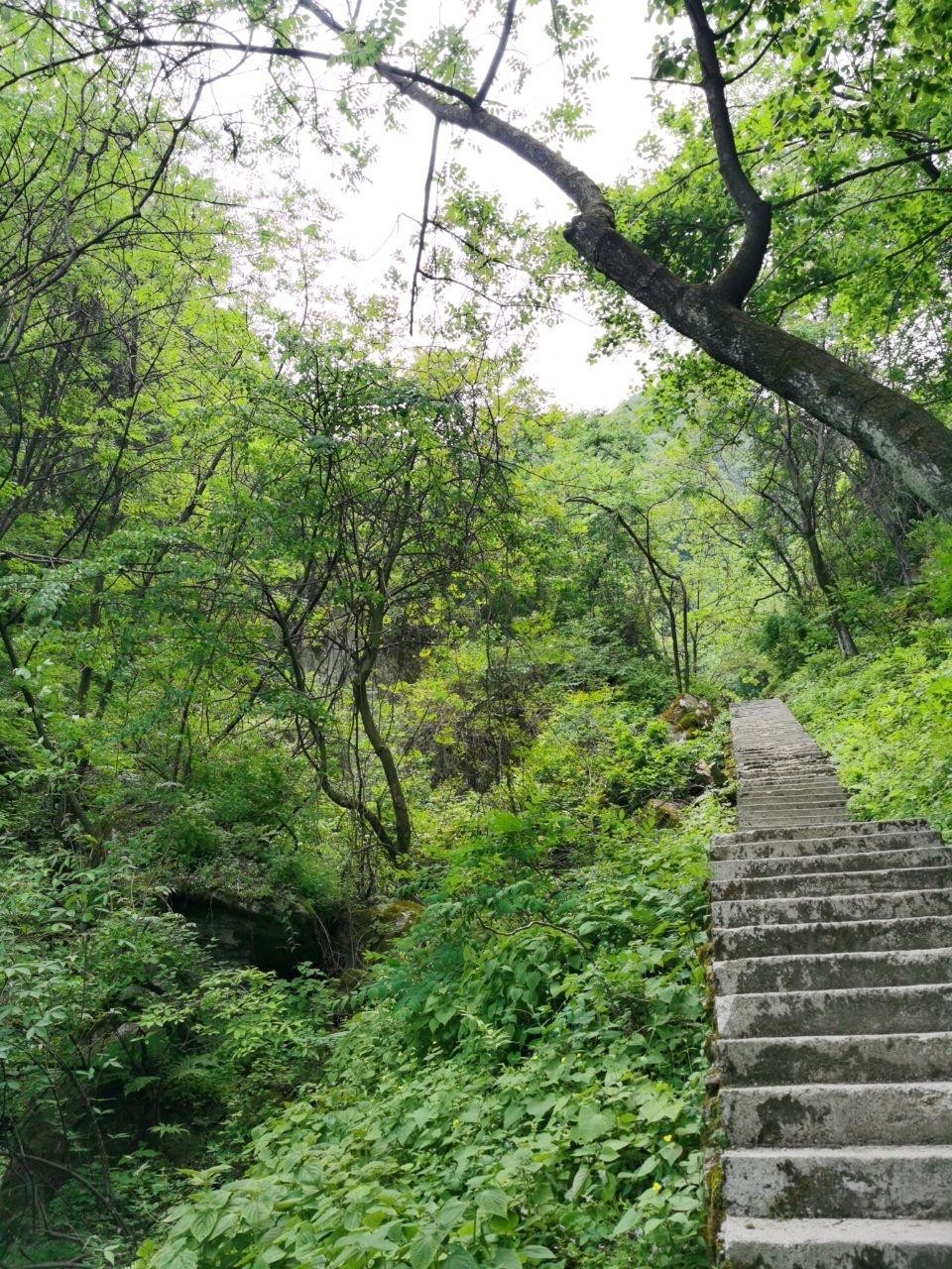 西安祥峪森林公园图片