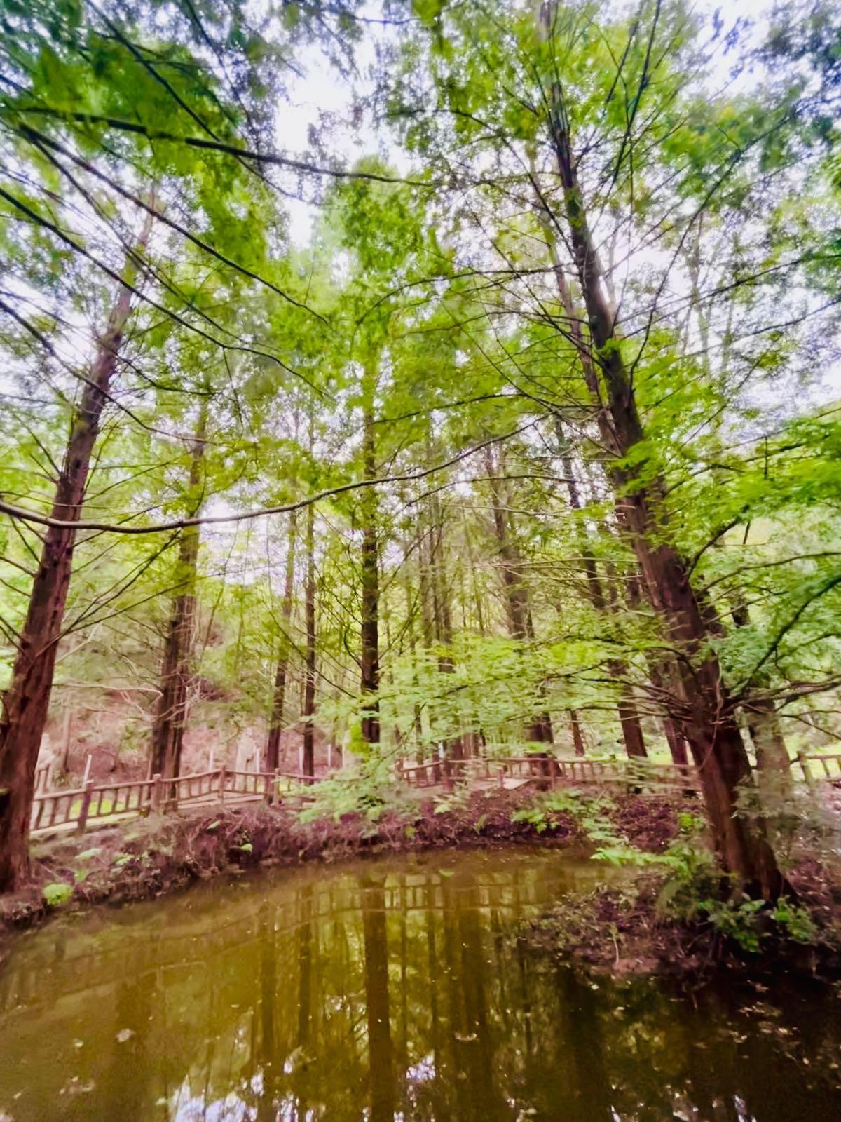 扶风野河山景区电话图片