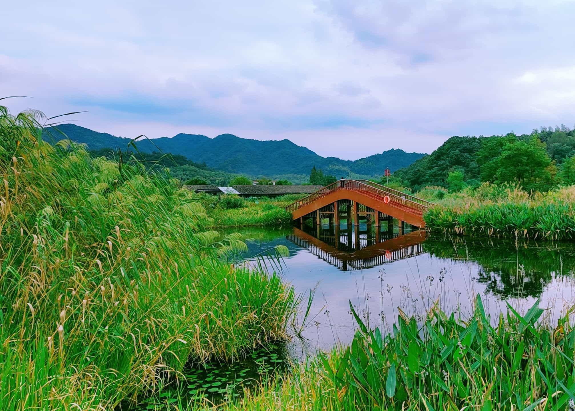 宁波东钱湖旅游度假区图片