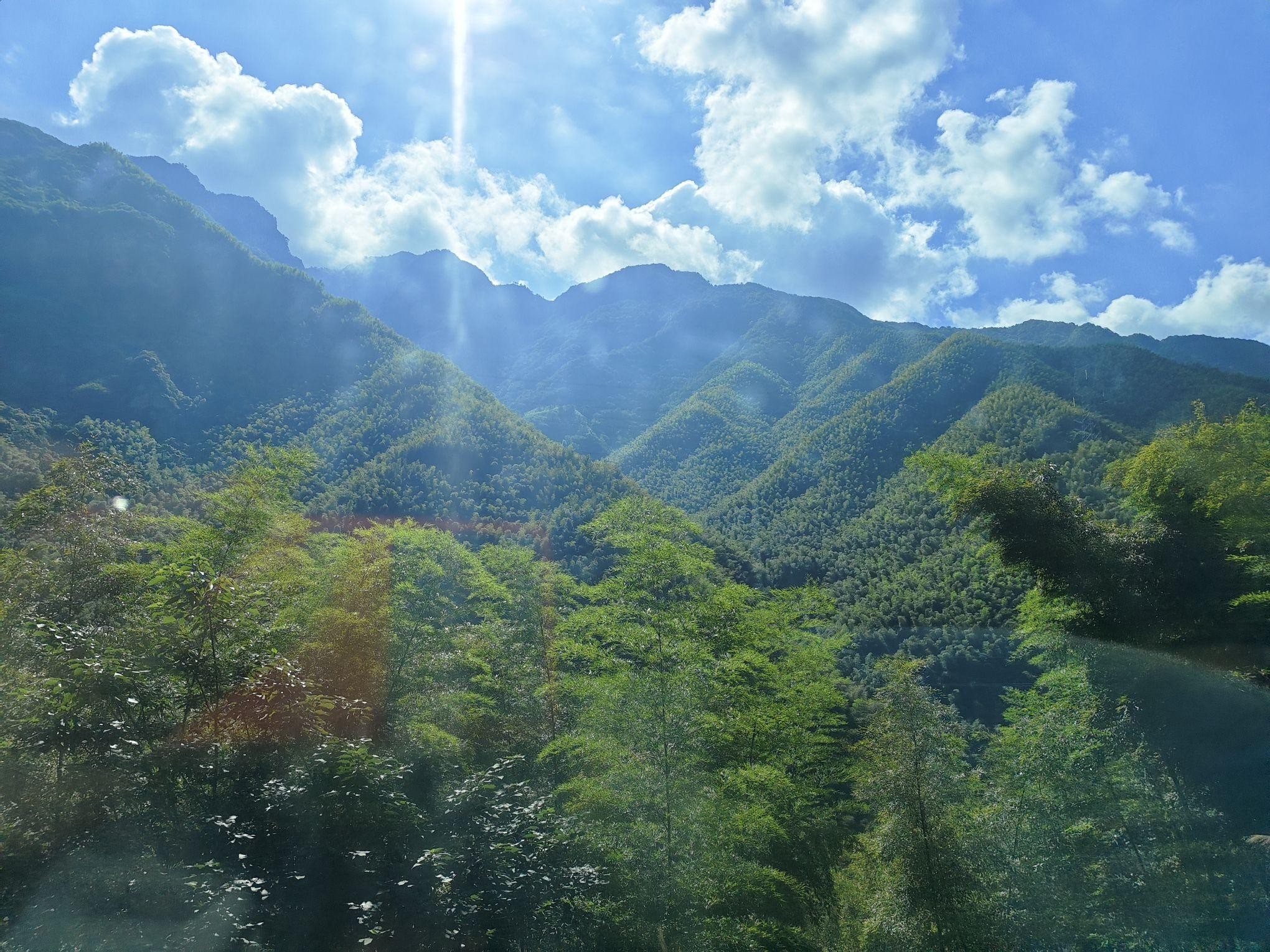 每一步都是绝美风景 99景区名称:玉皇山景区 99登山俯瞰西湖