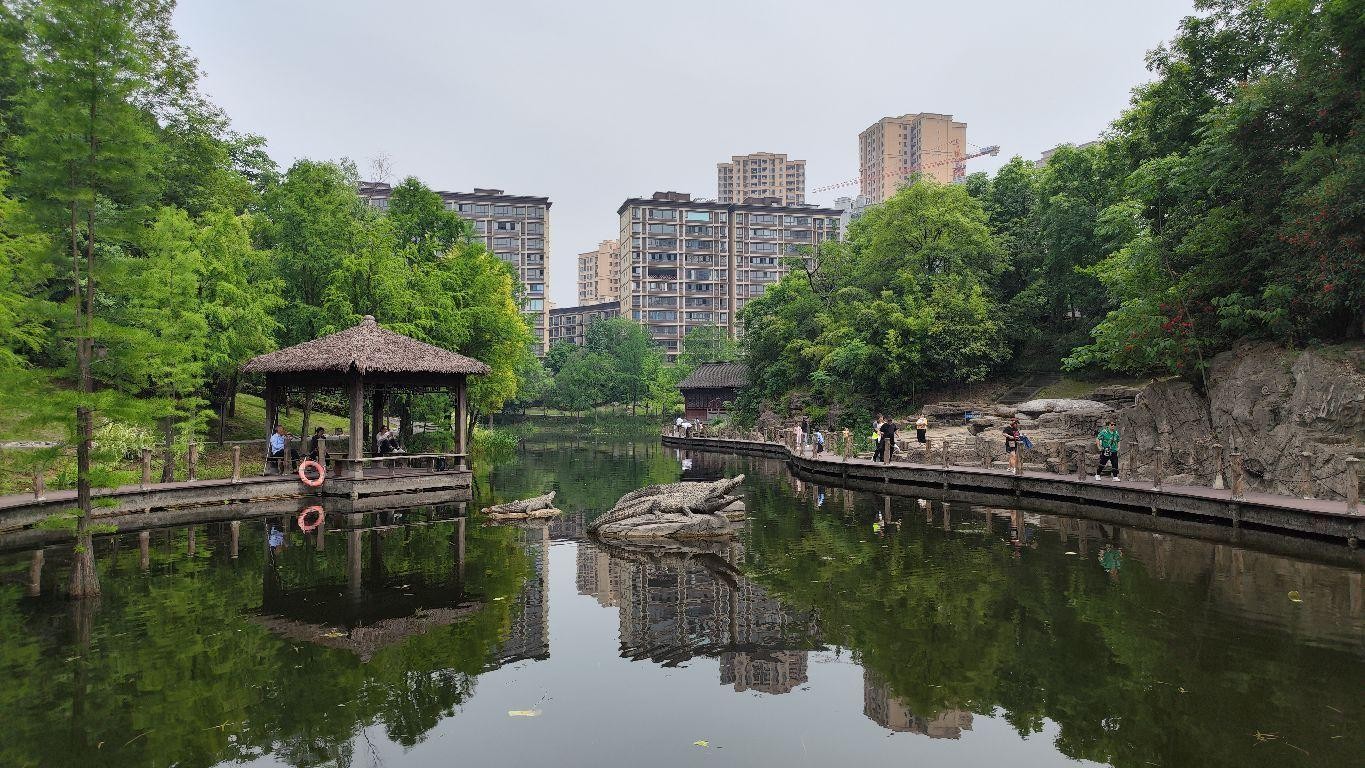 观音塘湿地公园图片