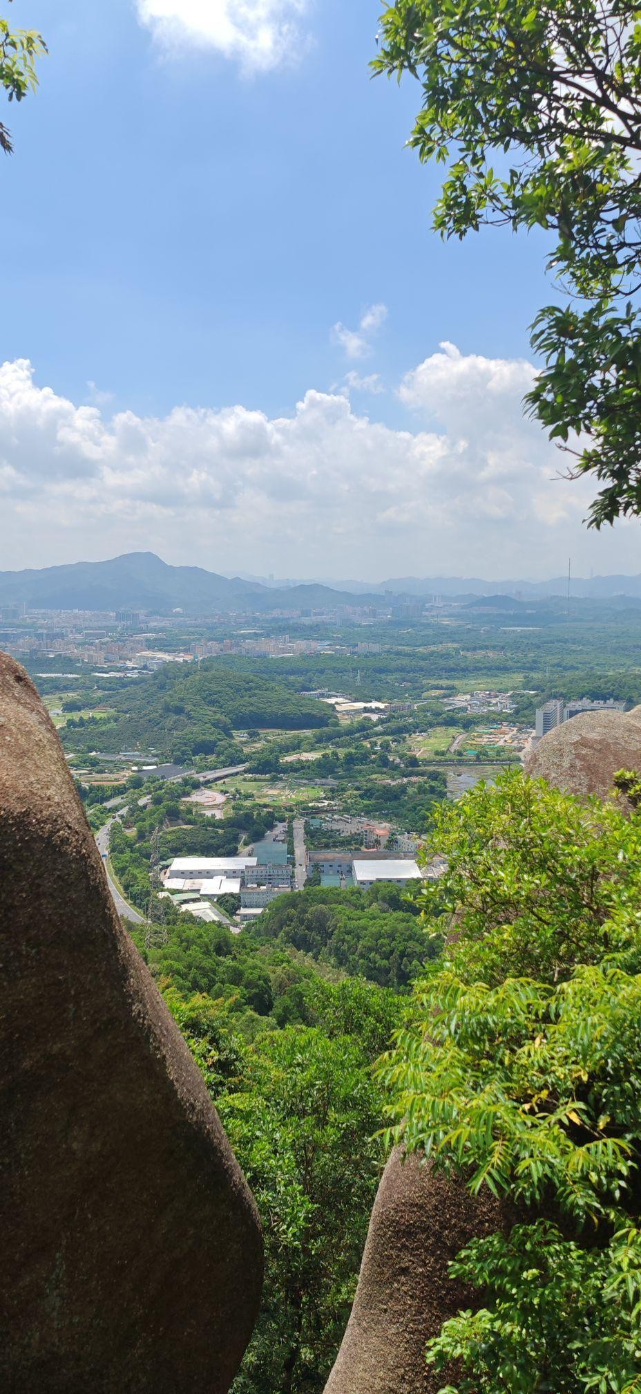 茂名凤凰山图片