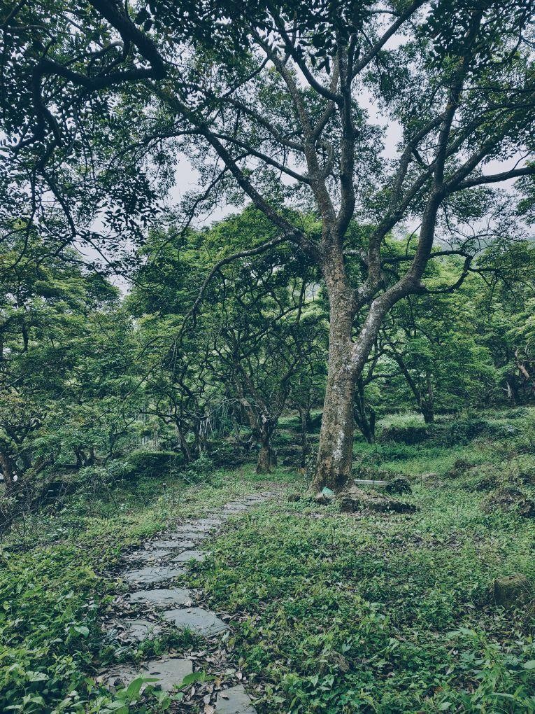 90游玩路线:广州二龙山花园