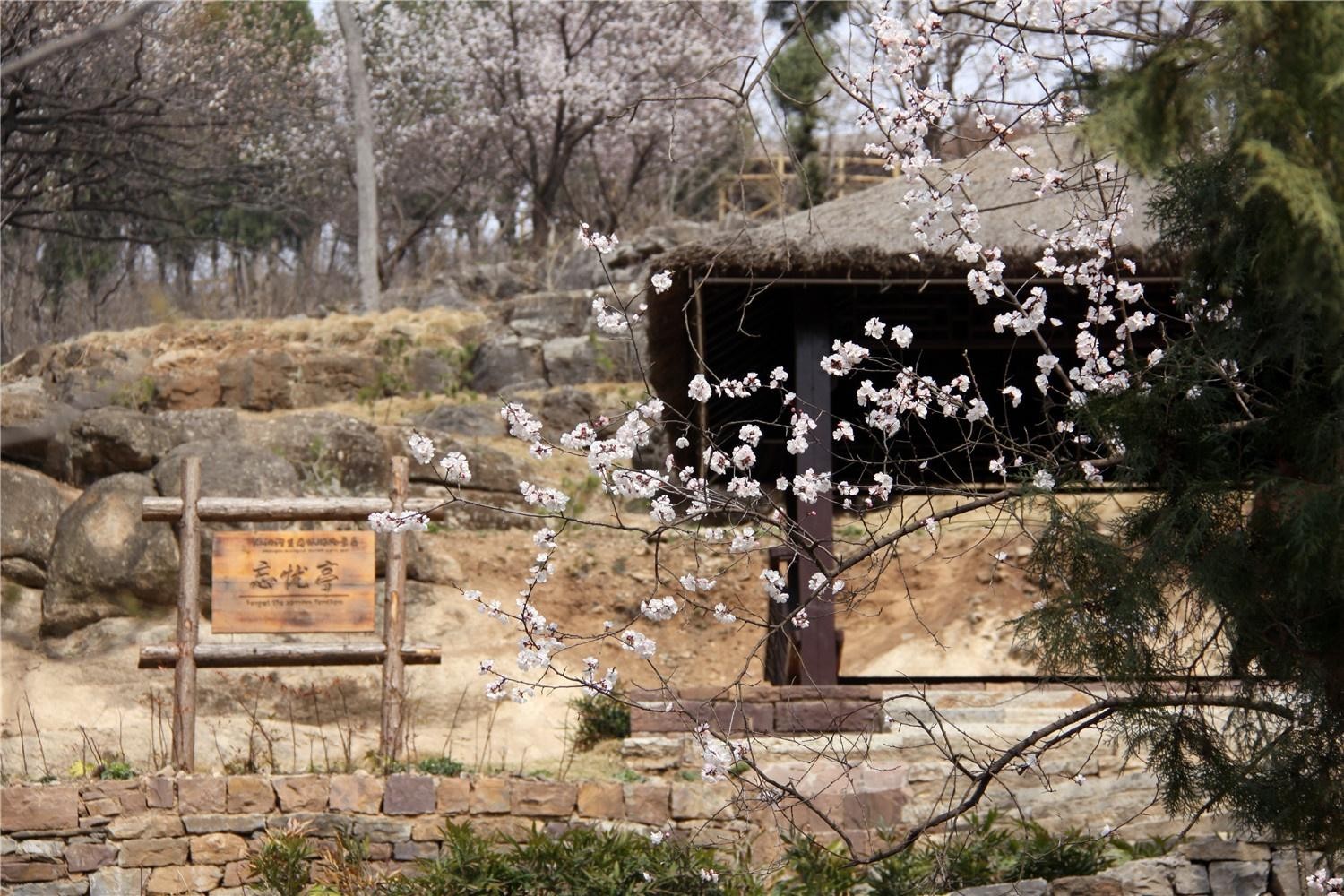 临沂竹泉村旅游度假村图片