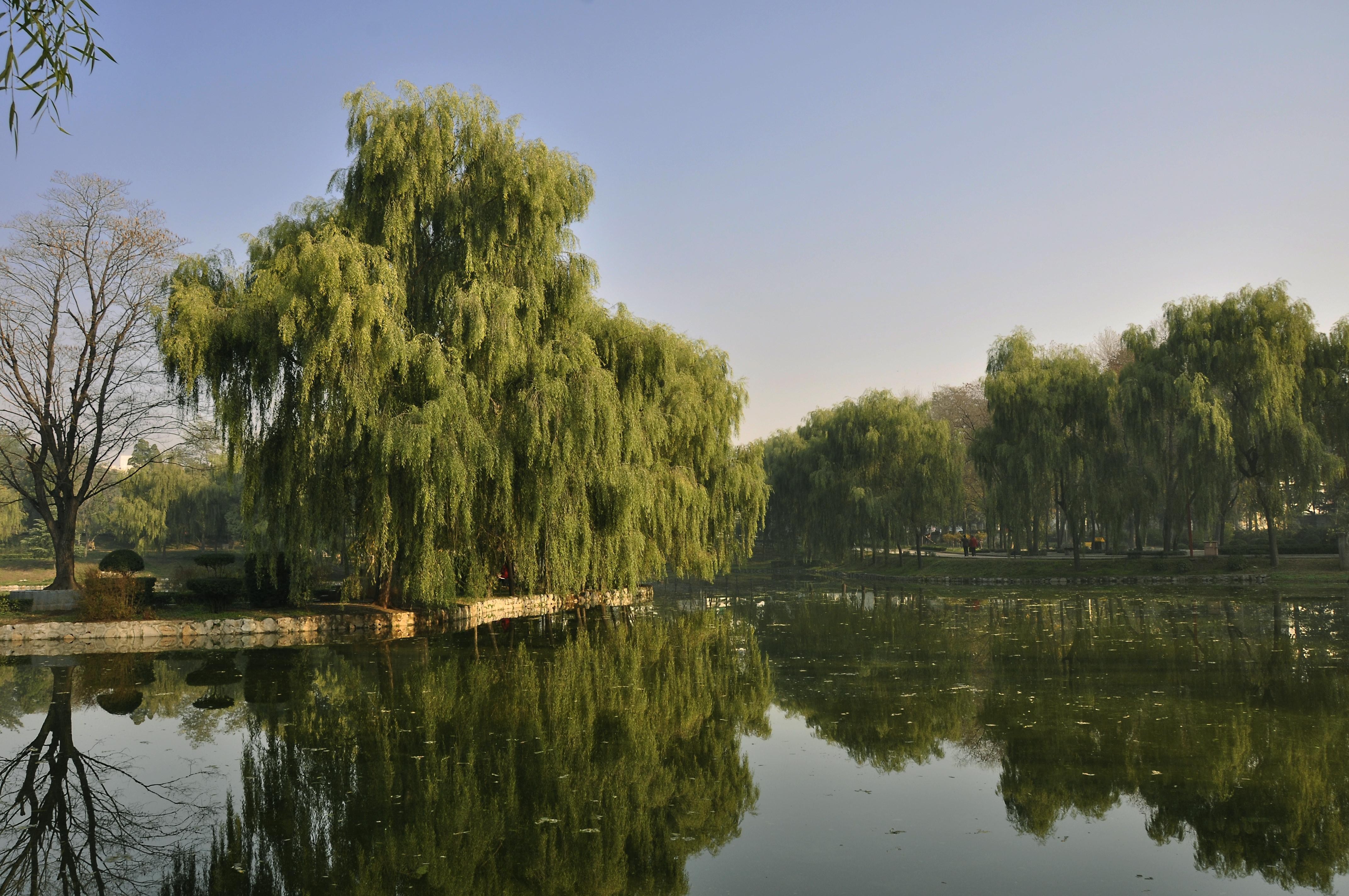 鹤壁市鹿台阁风景图图片