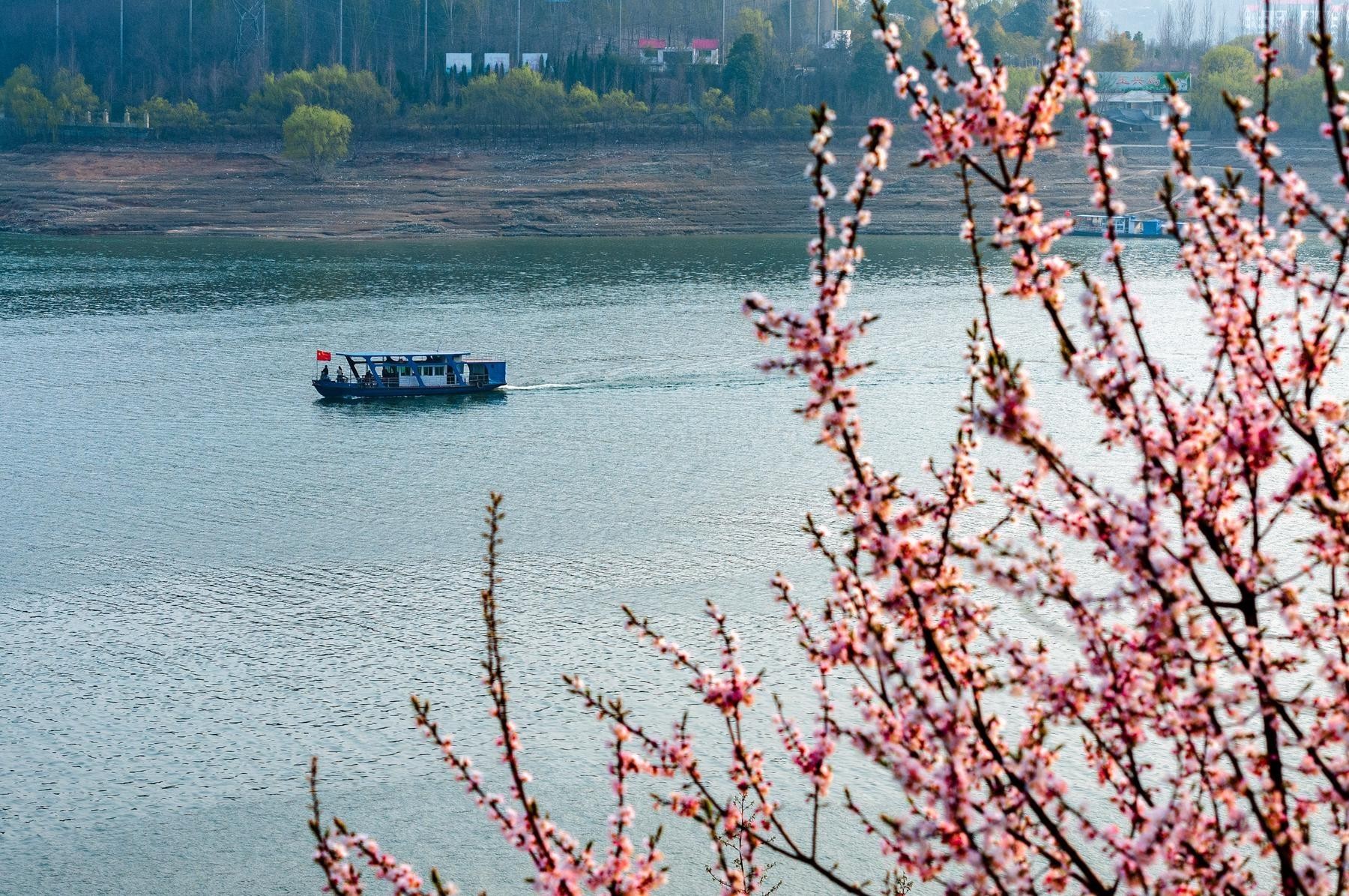 瀛洲河畔图片