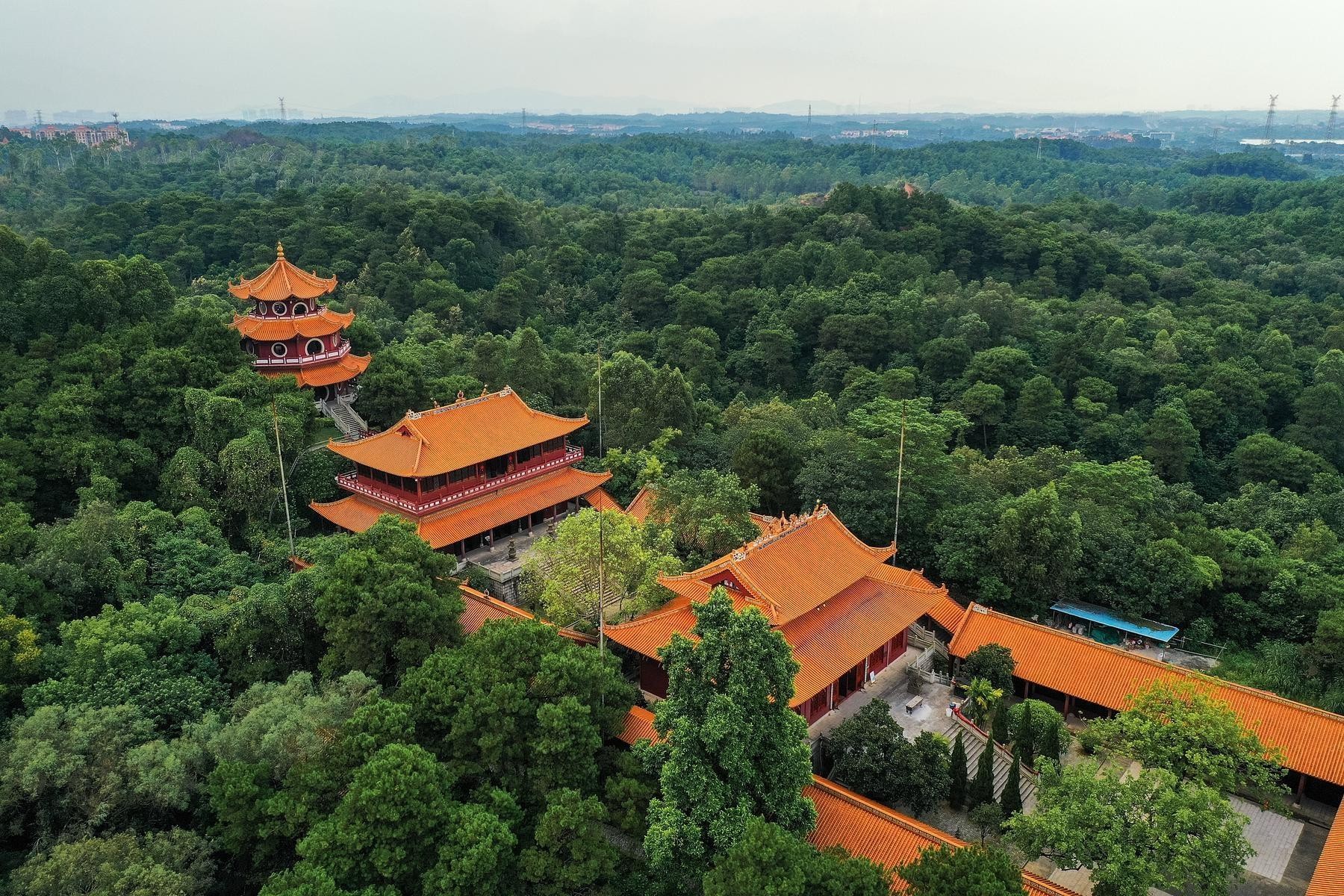 佛山禅城景点图片