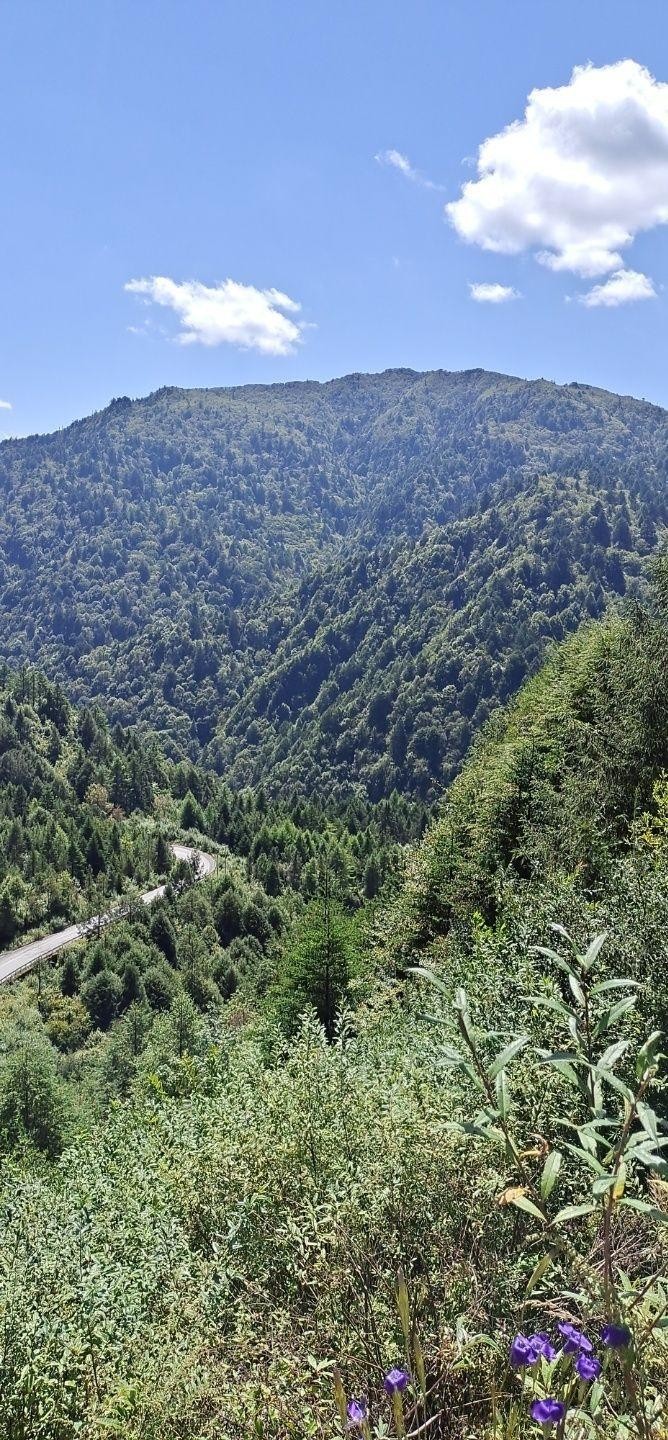 黑竹沟风景区最佳季节图片