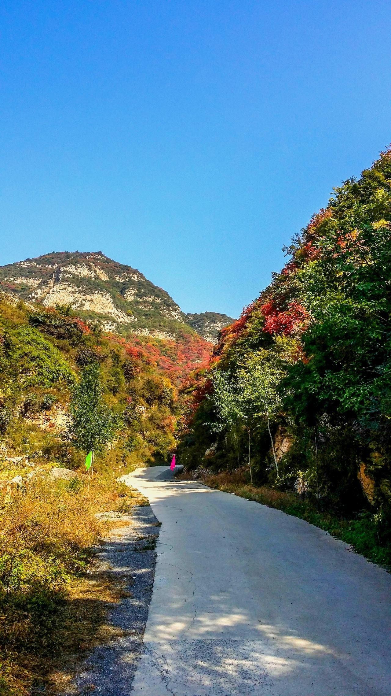 阳平关旅游景点大全图片