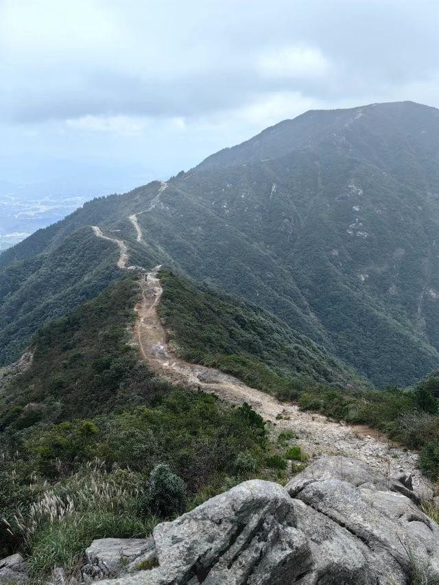 通城药姑山图片