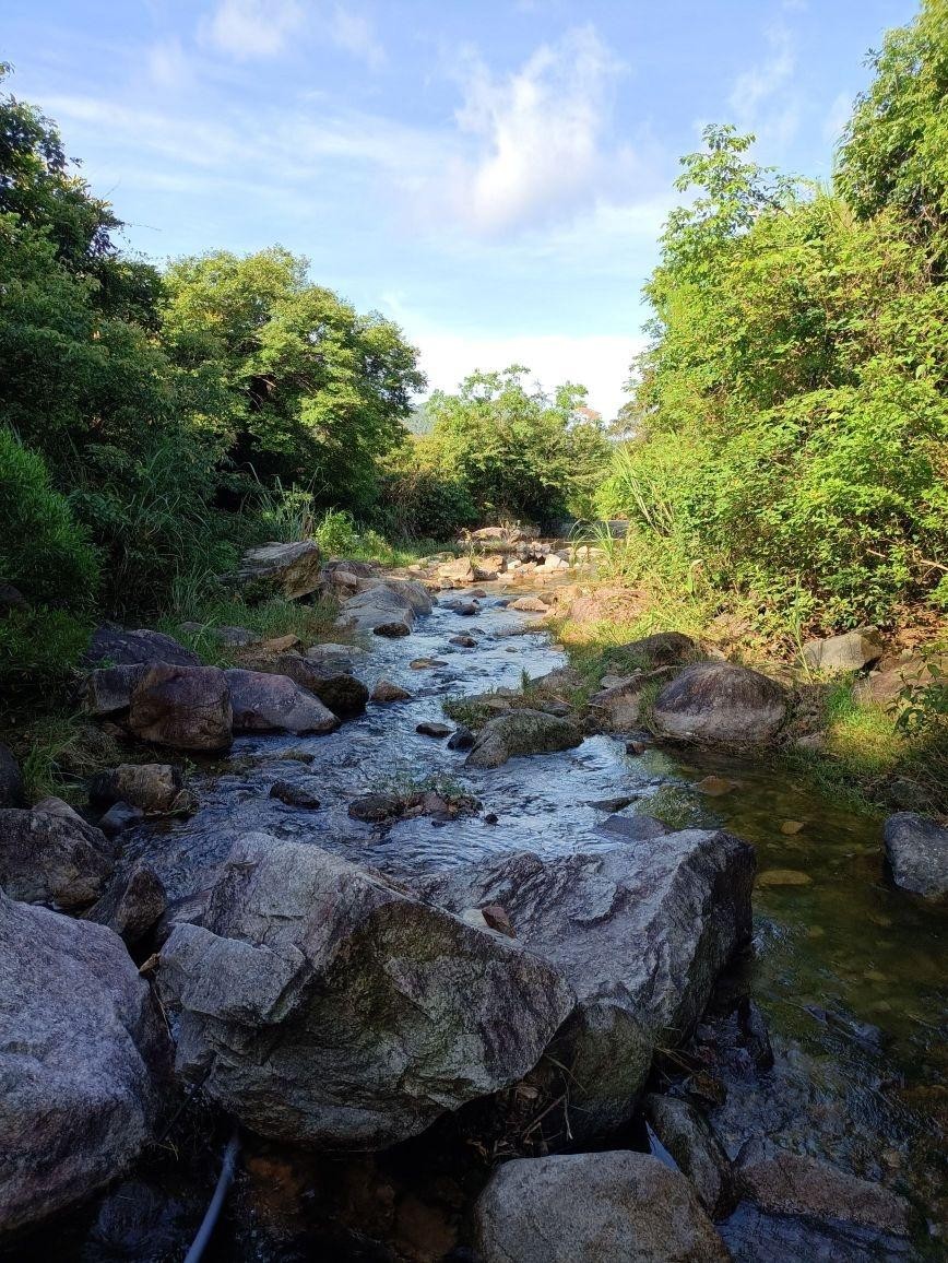 同安小坪山森林公园图片