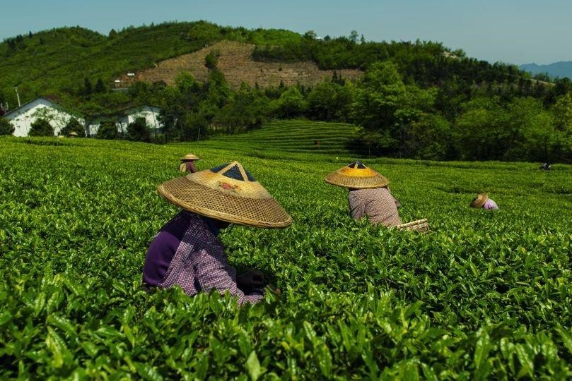 夏天避暑别再待家里吹空调