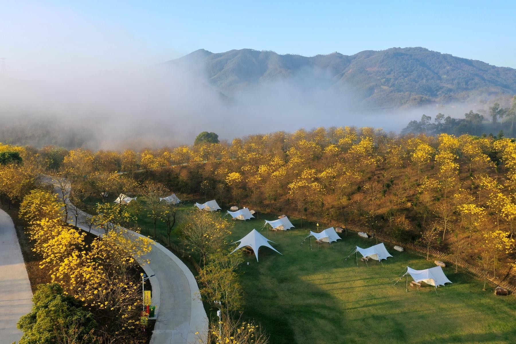 惠州龙门盛花谷图片