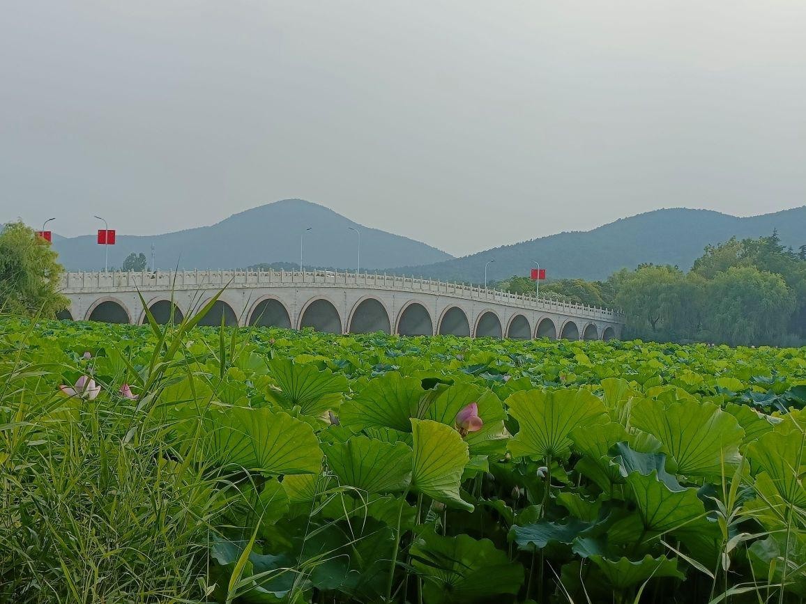 云龙湖简笔画图片