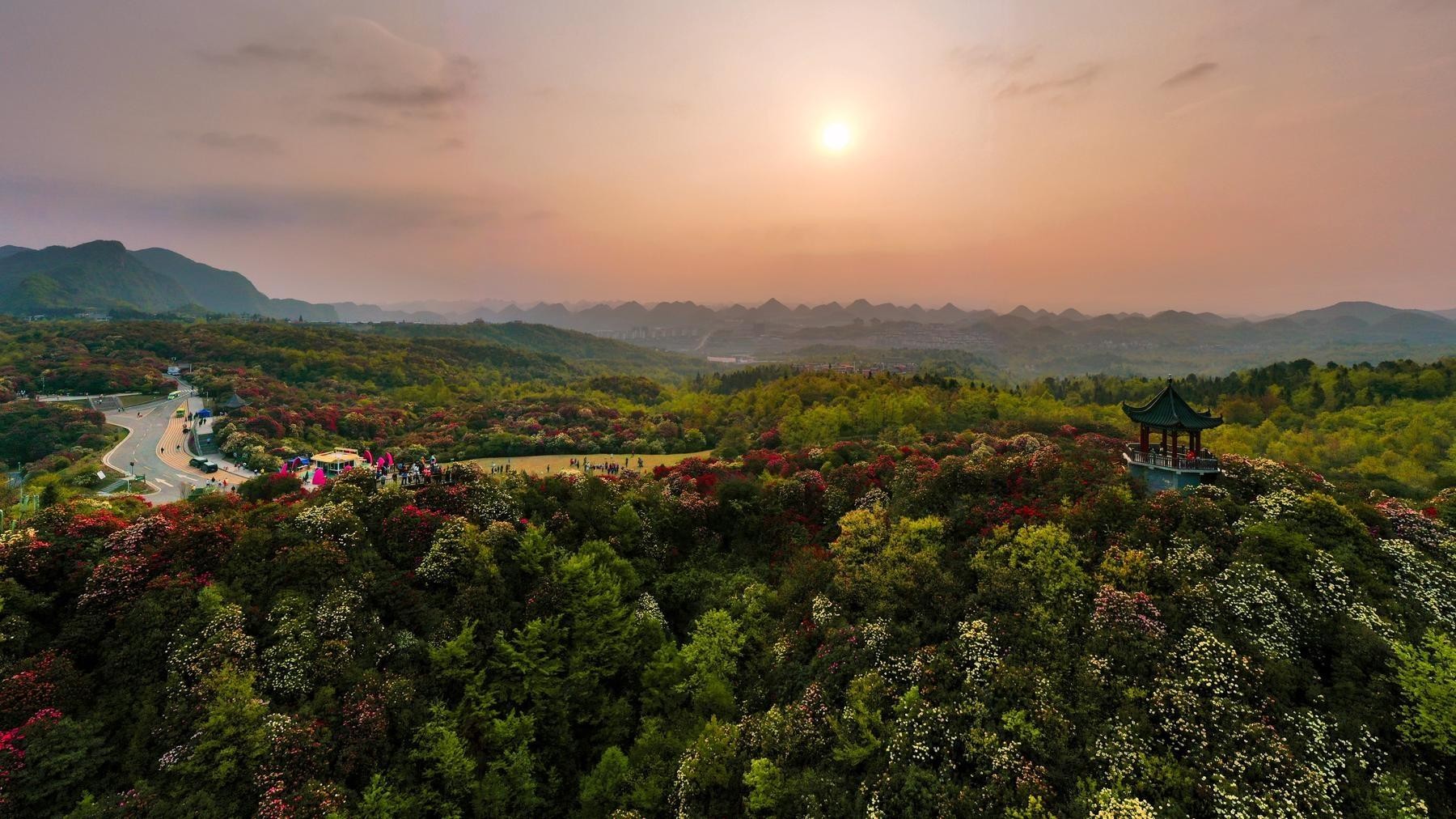 走进百里杜鹃风景名胜区,仿佛置身于花的海洋,每一朵杜鹃都在诉说着