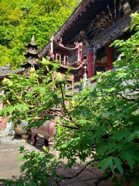 宝鸡西镇吴山道观图片