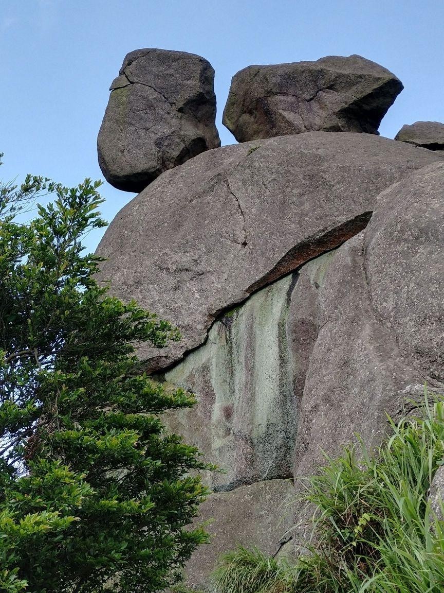 茂名高州根子黄国周图片