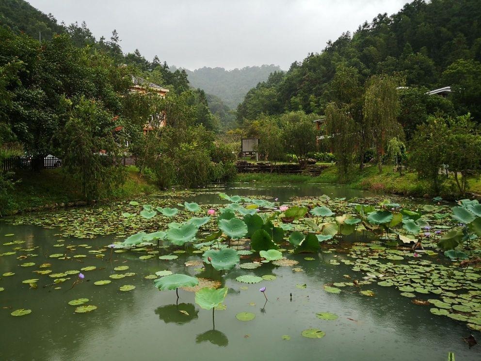 景点:观音潭 地址:广东省惠州市龙门县南昆山三五五省道南昆山内