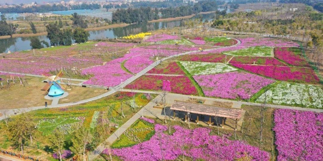 水岸花田景区,藏在泉州台商区的生态绿洲,花海绚烂,亲子游玩好