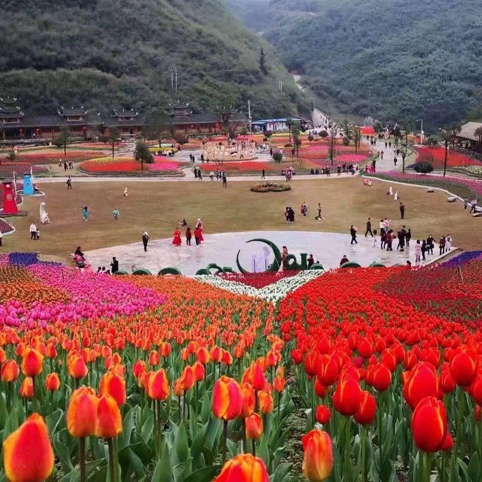 三穗贵洞花海风景区图片