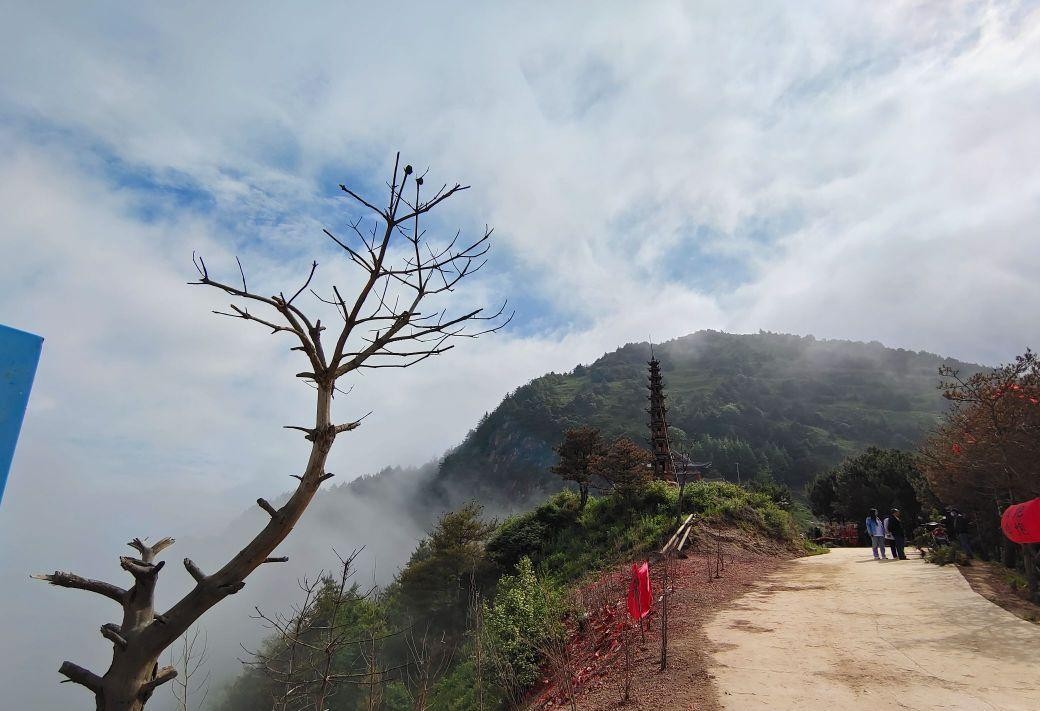 陇南香山自然保护区图片