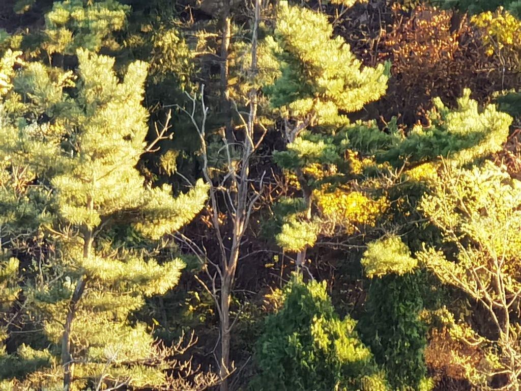 秀月峰图片